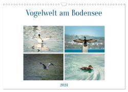 Vogelwelt am Bodensee 2024 (Wandkalender 2024 DIN A3 quer), CALVENDO Monatskalender