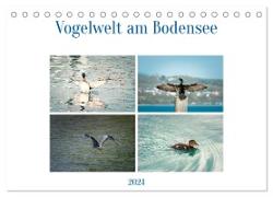 Vogelwelt am Bodensee 2024 (Tischkalender 2024 DIN A5 quer), CALVENDO Monatskalender