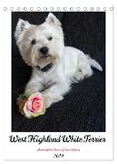West Highland White Terrier - Herzensbrecher auf vier Pfoten (Tischkalender 2024 DIN A5 hoch), CALVENDO Monatskalender