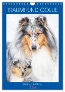 Traumhund Collie - Glück auf vier Pfoten (Wandkalender 2024 DIN A4 hoch), CALVENDO Monatskalender