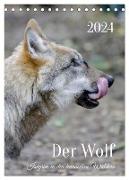 Der Wolf - Isegrim in den heimischen Wäldern - Kalender 2024 (Tischkalender 2024 DIN A5 hoch), CALVENDO Monatskalender
