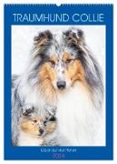 Traumhund Collie - Glück auf vier Pfoten (Wandkalender 2024 DIN A2 hoch), CALVENDO Monatskalender