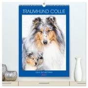 Traumhund Collie - Glück auf vier Pfoten (hochwertiger Premium Wandkalender 2024 DIN A2 hoch), Kunstdruck in Hochglanz
