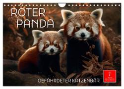 Roter Panda - gefährdeter Katzenbär (Wandkalender 2024 DIN A4 quer), CALVENDO Monatskalender