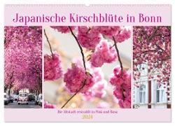Japanische Kirschblüte in Bonn (Wandkalender 2024 DIN A2 quer), CALVENDO Monatskalender