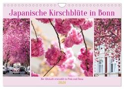Japanische Kirschblüte in Bonn (Wandkalender 2024 DIN A4 quer), CALVENDO Monatskalender