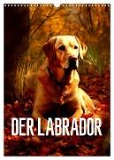 Der Labrador (Wandkalender 2024 DIN A3 hoch), CALVENDO Monatskalender