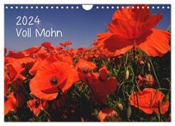 Voll Mohn (Wandkalender 2024 DIN A4 quer), CALVENDO Monatskalender