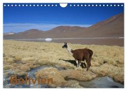 Bolivien (Wandkalender 2024 DIN A4 quer), CALVENDO Monatskalender