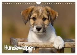 Hundewelpen (Wandkalender 2024 DIN A4 quer), CALVENDO Monatskalender