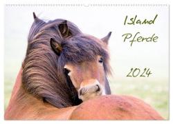 Islandpferde (Wandkalender 2024 DIN A2 quer), CALVENDO Monatskalender