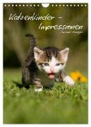 Katzenkinder - Impressionen (Wandkalender 2024 DIN A4 hoch), CALVENDO Monatskalender