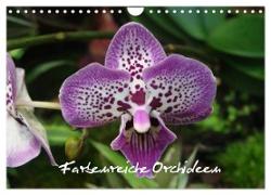 Farbenreiche Orchideen (Wandkalender 2024 DIN A4 quer), CALVENDO Monatskalender