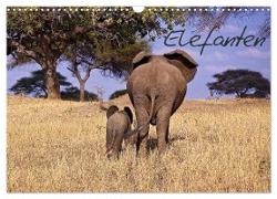 Elefanten (Wandkalender 2024 DIN A3 quer), CALVENDO Monatskalender