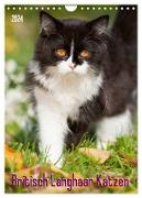 Britisch Langhaar Katzen (Wandkalender 2024 DIN A4 hoch), CALVENDO Monatskalender