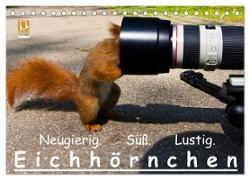 Eichhörnchen (Tischkalender 2024 DIN A5 quer), CALVENDO Monatskalender