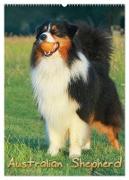 Australian Shepherd (Wandkalender 2024 DIN A2 hoch), CALVENDO Monatskalender