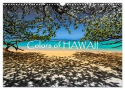 Colors of HAWAII (Wandkalender 2024 DIN A3 quer), CALVENDO Monatskalender