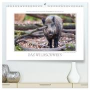 Emotionale Momente: Das Wildschwein. (hochwertiger Premium Wandkalender 2024 DIN A2 quer), Kunstdruck in Hochglanz