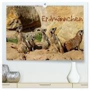 Erdmännchen (hochwertiger Premium Wandkalender 2024 DIN A2 quer), Kunstdruck in Hochglanz