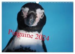 Pinguine 2024 (Wandkalender 2024 DIN A3 quer), CALVENDO Monatskalender
