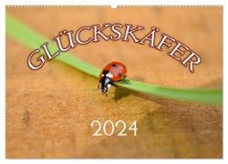 Marienkäfer 2024 (Wandkalender 2024 DIN A2 quer), CALVENDO Monatskalender