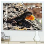 Wilde Fauna - Reptilien (hochwertiger Premium Wandkalender 2024 DIN A2 quer), Kunstdruck in Hochglanz