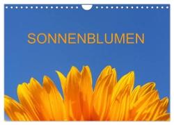 Sonnenblumen (Wandkalender 2024 DIN A4 quer), CALVENDO Monatskalender