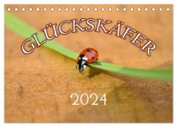 Marienkäfer 2024 (Tischkalender 2024 DIN A5 quer), CALVENDO Monatskalender