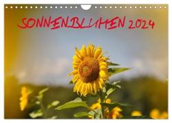 Sonnenblumen 2024 (Wandkalender 2024 DIN A4 quer), CALVENDO Monatskalender