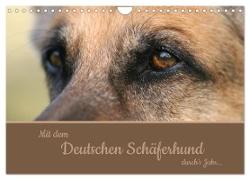 Mit dem Deutschen Schäferhund durch's Jahr (Wandkalender 2024 DIN A4 quer), CALVENDO Monatskalender