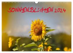 Sonnenblumen 2024 (Wandkalender 2024 DIN A3 quer), CALVENDO Monatskalender