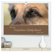 Mit dem Deutschen Schäferhund durch's Jahr (hochwertiger Premium Wandkalender 2024 DIN A2 quer), Kunstdruck in Hochglanz