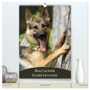 Deutscher Schäferhund (hochwertiger Premium Wandkalender 2024 DIN A2 hoch), Kunstdruck in Hochglanz