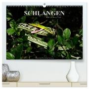 Schlangen (hochwertiger Premium Wandkalender 2024 DIN A2 quer), Kunstdruck in Hochglanz