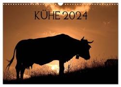 Kühe 2024 (Wandkalender 2024 DIN A3 quer), CALVENDO Monatskalender