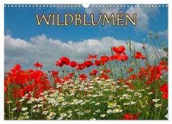 Wildblumen 2024 (Wandkalender 2024 DIN A3 quer), CALVENDO Monatskalender
