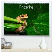 Frösche (hochwertiger Premium Wandkalender 2024 DIN A2 quer), Kunstdruck in Hochglanz