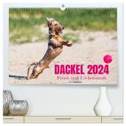 DACKEL 2024 Frech und Liebenwert (hochwertiger Premium Wandkalender 2024 DIN A2 quer), Kunstdruck in Hochglanz
