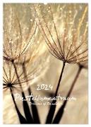 Pusteblumentraum - Dreams of Dandelion (Wandkalender 2024 DIN A2 hoch), CALVENDO Monatskalender