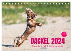 DACKEL 2024 Frech und Liebenwert (Tischkalender 2024 DIN A5 quer), CALVENDO Monatskalender