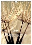 Pusteblumentraum - Dreams of Dandelion (Wandkalender 2024 DIN A4 hoch), CALVENDO Monatskalender
