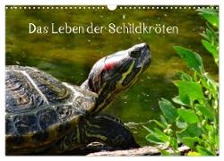 Das Leben der Schildkröten (Wandkalender 2024 DIN A3 quer), CALVENDO Monatskalender