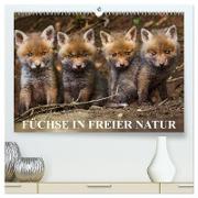 Füchse in freier Natur (hochwertiger Premium Wandkalender 2024 DIN A2 quer), Kunstdruck in Hochglanz