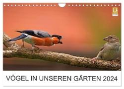 Vögel in unseren Gärten 2024 (Wandkalender 2024 DIN A4 quer), CALVENDO Monatskalender