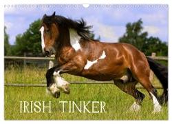 Irish Tinker (Wandkalender 2024 DIN A3 quer), CALVENDO Monatskalender