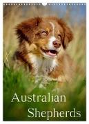 Australian Shepherds (Wandkalender 2024 DIN A3 hoch), CALVENDO Monatskalender