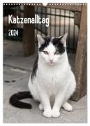 Katzenalltag 2024 (Wandkalender 2024 DIN A3 hoch), CALVENDO Monatskalender