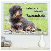 Liebenswerte Rabauken Rauhaardackel / CH-Version (hochwertiger Premium Wandkalender 2024 DIN A2 quer), Kunstdruck in Hochglanz