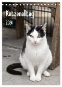 Katzenalltag 2024 (Tischkalender 2024 DIN A5 hoch), CALVENDO Monatskalender